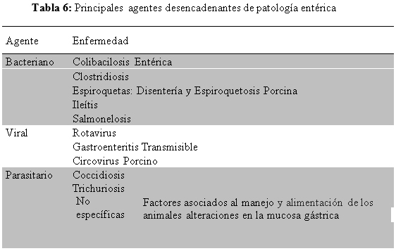 Gestión y manejo del cebo en ganado porcino - Image 9