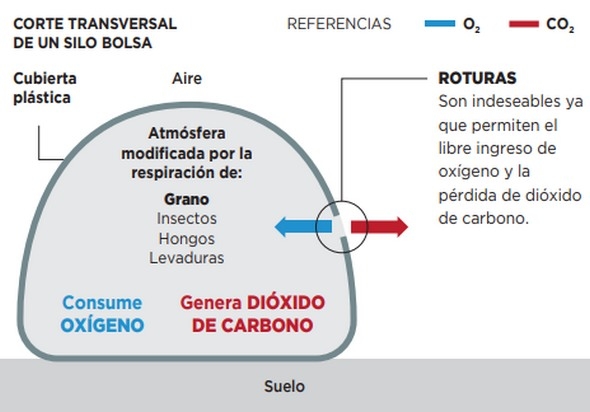 Guía de almacenamiento en bolsa: Claves para evitar pérdidas - Image 5