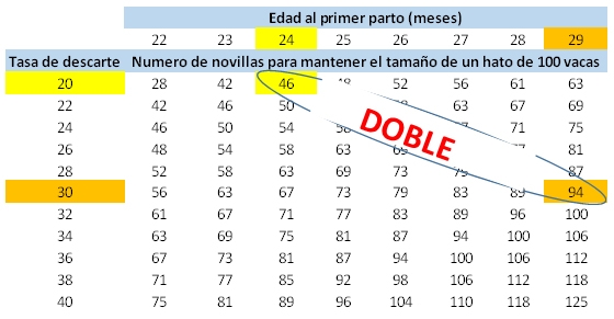 Levantar las mejores novillas es sinónimo de rentabilidad lechera - Image 8