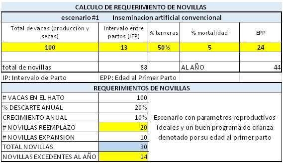 Levantar las mejores novillas es sinónimo de rentabilidad lechera - Image 9