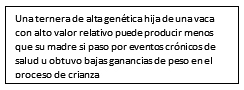 Levantar las mejores novillas es sinónimo de rentabilidad lechera - Image 3