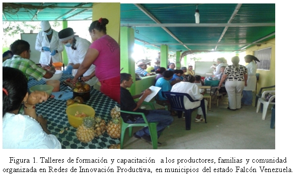 Aporte de valor agregado a la cadena agroalimentaria leche bovina y caprina, mediante la fabricación de yogurt licuado saborizado. - Image 1