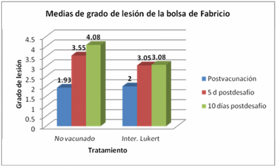 Evaluacion de la eficacia de una vacuna a virus vivo modificado cepa lukert intermedia contra un virus muy virulento de la infección de la bolsa de fabricio administrada en pollos de engorda con anticuerpos maternos utilizando el analisis digital de deplesion linfoide. - Image 6