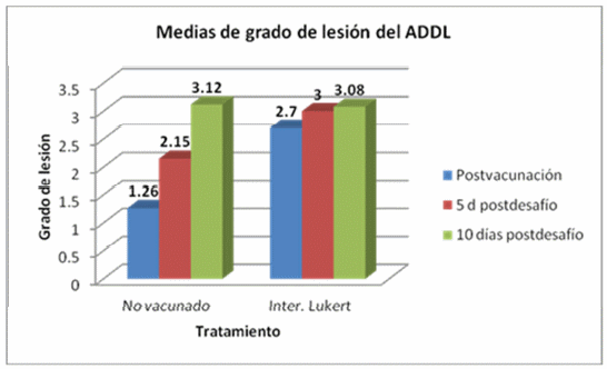 Evaluacion de la eficacia de una vacuna a virus vivo modificado cepa lukert intermedia contra un virus muy virulento de la infección de la bolsa de fabricio administrada en pollos de engorda con anticuerpos maternos utilizando el analisis digital de deplesion linfoide. - Image 7