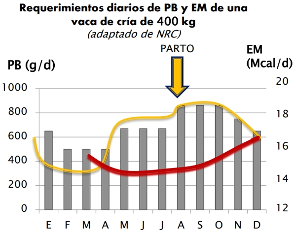 Fortalezas del uso de expeller de soja en Bovinos para Carne - Image 2