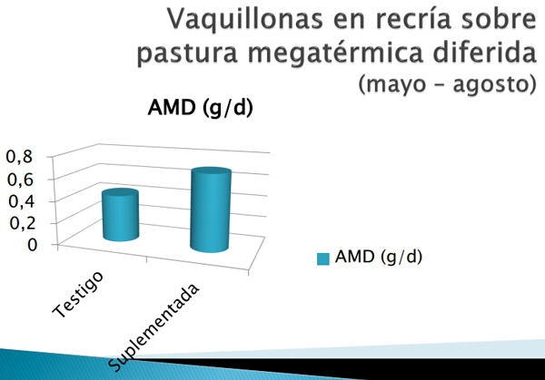 Fortalezas del uso de expeller de soja en Bovinos para Carne - Image 5