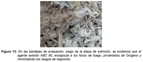 Extinción de incendios en máquinas cosechadoras. Prueba de desempeño del equipo Georgia GVS 200 con agente extintor ABC 90 - Image 14