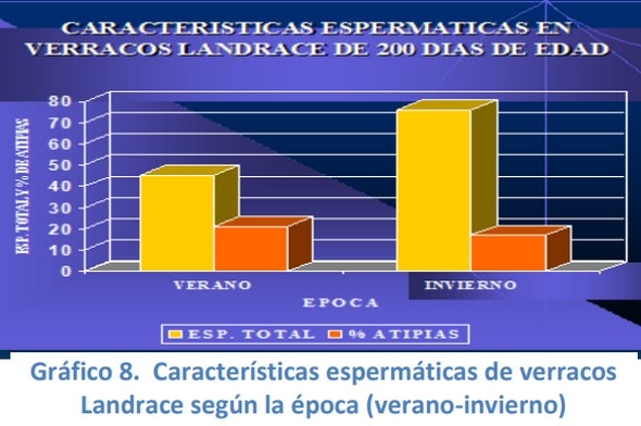 Comportamiento reproductivo del cerdo en Venezuela efecto de la época - Image 8