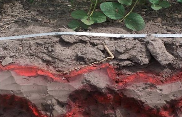Cómo evitar la compactación del suelo por tránsito en otoños húmedos - Image 2