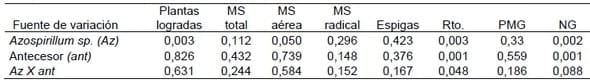 Producción de Trigo según cultivos antecesores y tratamientos de semillas con Azospirillum Brasilense - Image 2