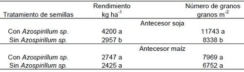 Producción de Trigo según cultivos antecesores y tratamientos de semillas con Azospirillum Brasilense - Image 3