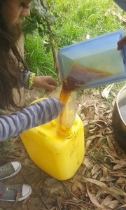 Elaboración de insecticidas orgánicos para el control integrado de las plagas de las zonas estacionalmente secas de la provincia de Loja - Image 17