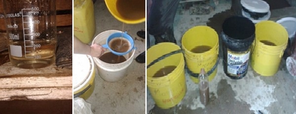 Elaboración de insecticidas orgánicos para el control integrado de las plagas de las zonas estacionalmente secas de la provincia de Loja - Image 20