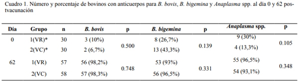 Eficacia de dos vacunas, congelada y refrigerada, contra la tristeza parasitaria bovina - Image 1