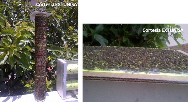 Trampas de luz UV para monitoreo de insectos - Image 2