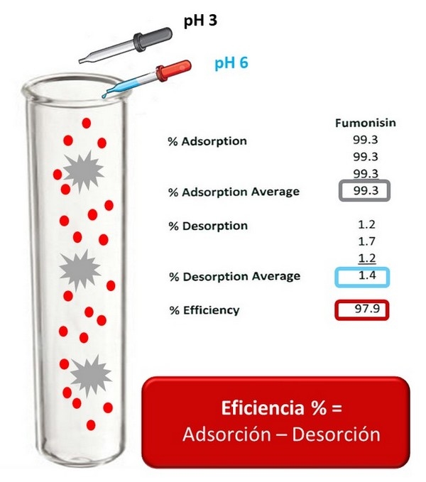 Solución para el desafío de micotoxinas en aves de corral - Image 1