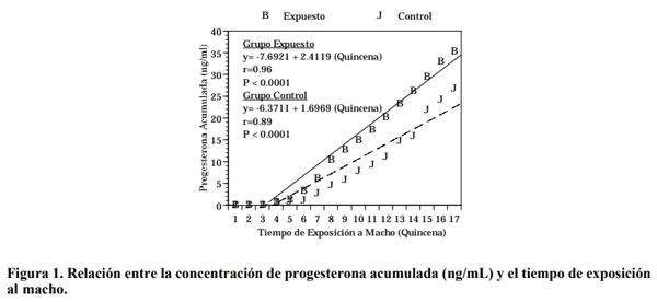Efecto de la presencia del macho sobre la actividad folicular y luteal en hembras prepuberales Brahman - Image 1