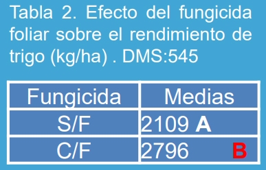 Manejo de la roya amarilla causada por Puccinia striiformis en trigo (Triticum aestivum L.) bajo diferentes niveles de fertilización nitrogenada en el norte de la provincia de Buenos Aires. - Image 5