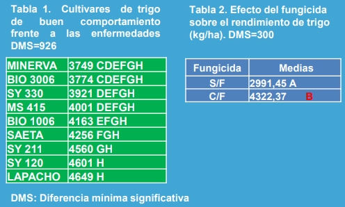 Diagnóstico y análisis de la evolución temporal de las enfermedades en diferentes cultivares de trigo (Triticum aestivum L. MERR.) en la localidad de Junín, Buenos Aires. - Image 5