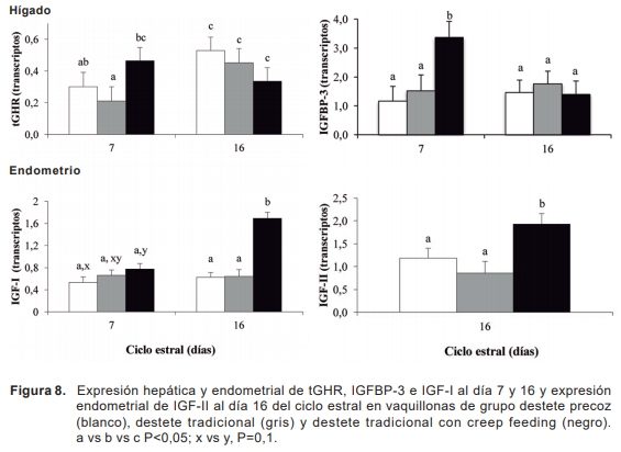 Efecto de mediano plazo de la nutrición sobre parámetros endócrinos y la expresión de genes del eje somatotrófico en edometrio e hígado en vaquillonas hereford - Image 2