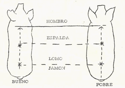 Guía de Selección de Reproductores y Sistemas de Cruces en Ganado Porcino - Image 11