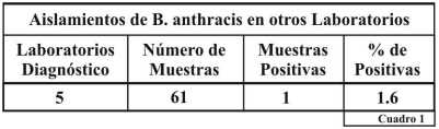 Situacion carbunclo rural en la argentina 2017 - Image 5