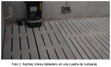 Instalaciones en las granjas de reproductoras - Image 4