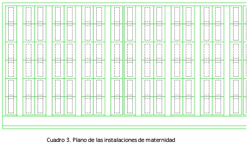 Instalaciones en las granjas de reproductoras - Image 8