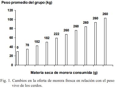 Evaluación del consumo de morera fresca (Morus alba) en reproductoras porcinas mestizas - Image 2