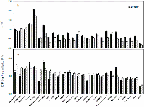 Oportunidades para mejorar la eficiencia en la utilización de fósforo en maiz: más semilla y menos fertilizante - Image 3