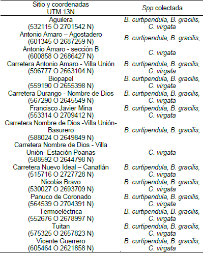 Producción de Glomalina en tres especies de Gramíneas - Image 1