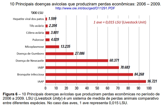 Estructura de la industria avícola de postura comercial y patologías respiratorias que la afectan - Image 6