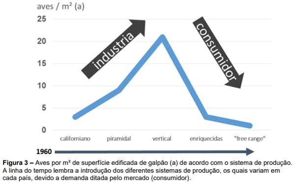 Estructura de la industria avícola de postura comercial y patologías respiratorias que la afectan - Image 3