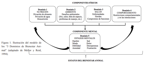 Bienestar animal y sistemas sostenibles para la producción ganadera - Image 1