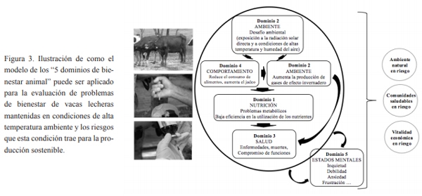 Bienestar animal y sistemas sostenibles para la producción ganadera - Image 3