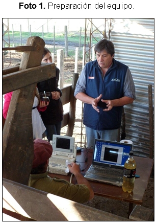 Evaluación de la calidad carnicera en toros Puro Controlados de la Cabaña AnGus de la Facultad de Ciencias Agropecuarias de la Universidad Nacional de Córdoba. - Image 8