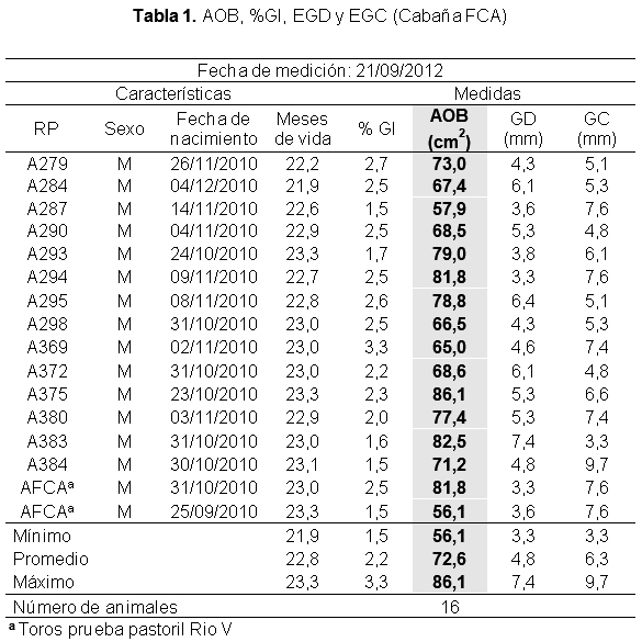 Evaluación de la calidad carnicera en toros Puro Controlados de la Cabaña AnGus de la Facultad de Ciencias Agropecuarias de la Universidad Nacional de Córdoba. - Image 1