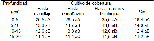 Cultivos de Cobertura en sistemas con soja bajo siembra directa - Image 5