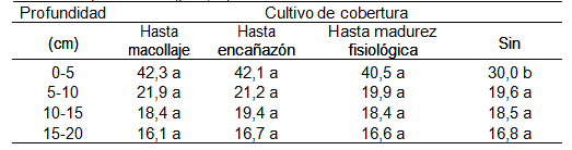 Cultivos de Cobertura en sistemas con soja bajo siembra directa - Image 4