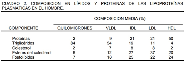 Metabolismo de lipidos - Image 2