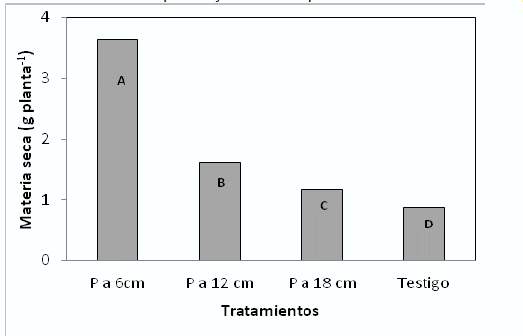Absorción de Fósforo y Crecimiento de Soja según distancias a sitios de fertilización con Fósforo - Image 3