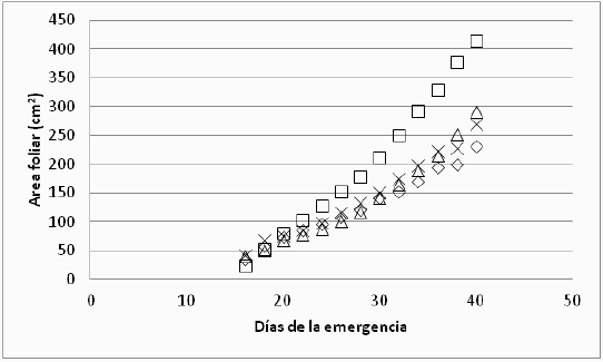 Absorción de Fósforo y Crecimiento de Soja según distancias a sitios de fertilización con Fósforo - Image 2
