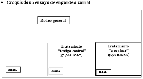 Protocolo evaluación de la respuesta productiva al agregado o reemplazo de un parámetro determinado (insumo o manejo) diseño completamente aleatorizado (dca) aplicado a sistemas de engorde a corral o sistemas pastoriles en producción con alta cantidad de animales. - Image 1