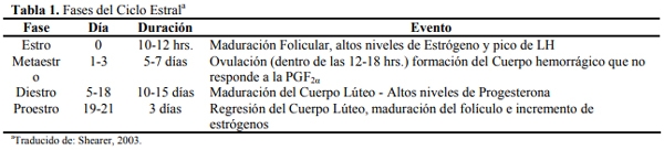 El ciclo estral - Image 3