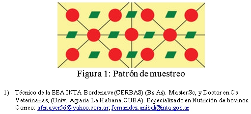 Técnicas de muestreo de granos y porotos de soja para analizar “micotoxinas” - Image 1