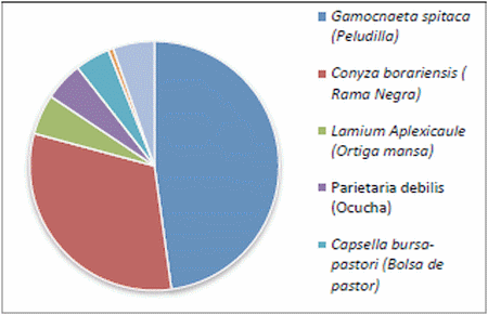 Evaluación de técnicas de pulverización antideriva para el control de malezas en barbecho químico - Image 5