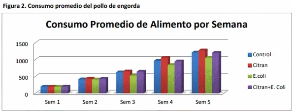 Evaluación del efecto de un modulador digestivo en pollos de engorda desafiados con una cepa de escherichia coli sobre variables productivas y química sanguínea - Image 2