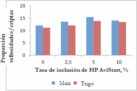 Diez días importantes en la vida de un broiler - Image 4