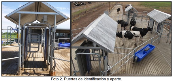 Evaluación bio-económica de un sistema lechero pastoril intensivo incorporando Tecnologías de Precisión, Ordeño Voluntario Automatizado (VMS® ) y las TIC - Image 6