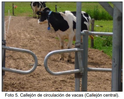 Evaluación bio-económica de un sistema lechero pastoril intensivo incorporando Tecnologías de Precisión, Ordeño Voluntario Automatizado (VMS® ) y las TIC - Image 12